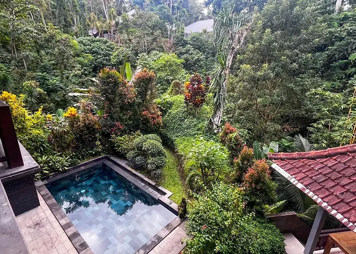 Nadiya Jungle أوبود