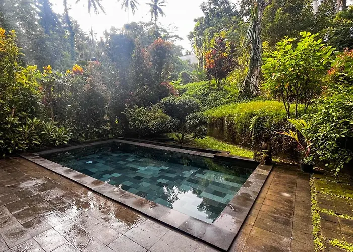 Nadiya Jungle *