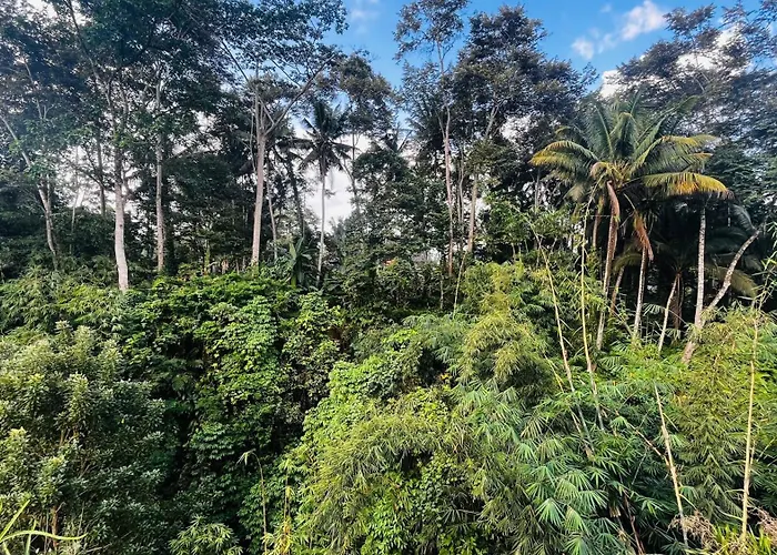 Nadiya Jungle Ferienhaus Ubud