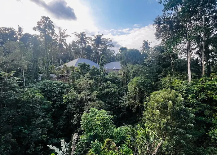 Nadiya Jungle * أوبود