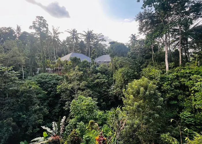 Nadiya Jungle بيت للعطل *