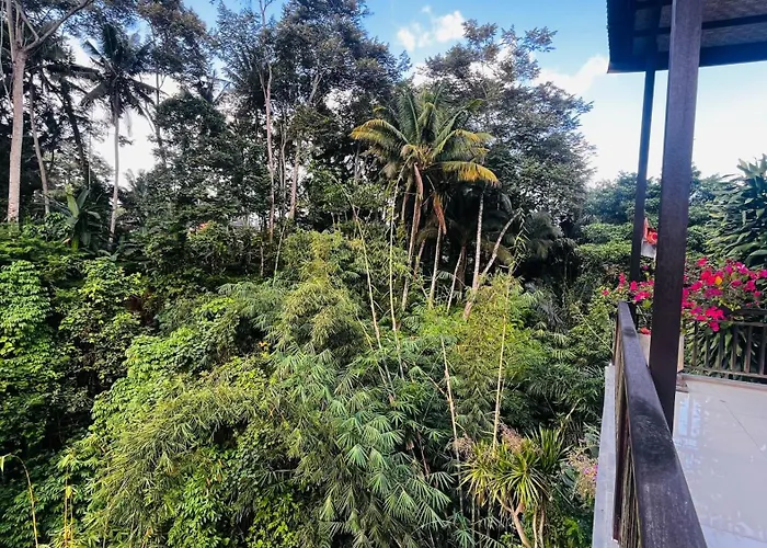 بيت للعطل Nadiya Jungle